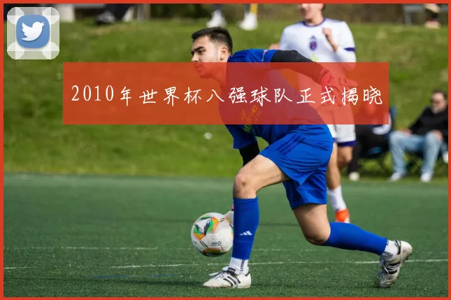 2010年世界杯八强球队正式揭晓