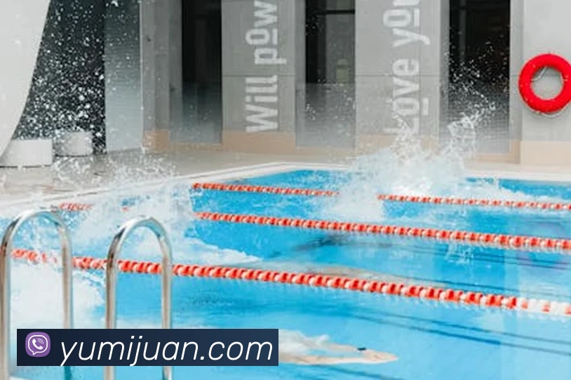 多媒体互动体验